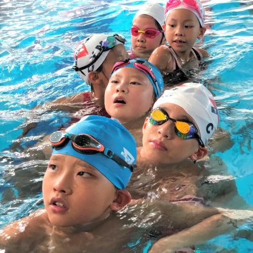 YM Sports Competition - 台北分齡游泳比賽3